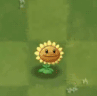 SunflowerPF.gif