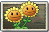 Twin Sunflower New Pirate Seas Seed Packet.png