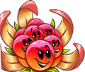 爆炸莓果的種子包圖像