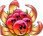 BoomBerry's seed packet image