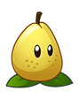 HD Pear