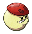 HD Buff-Shroom