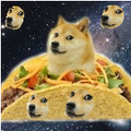 Such taco wow