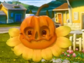 Pumpkin Suprise