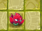 Red Stinger shooting as a defensive plant