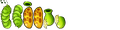 Sprites