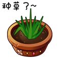 "Plant the grass~" (Chinese net slang, meaning to recommend)