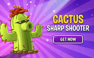 An advertisement about Cactus