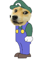 WEEGEE DOGE! SUCH OBEY!