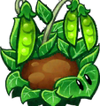 Pea Patch's card image