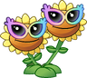 Twin Sunflower (rainbow shades)