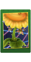Royal Flowers Card.png
