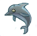 The dolphin without a background