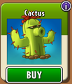 Cactus in the new store