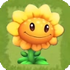 Sunflower3Old.png