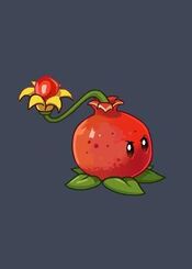 Pomegranate-pult AlmanacO.jpg