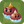 Curling Corms2.png