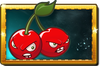 Cherry Bomb New Premium Seed Packet.png