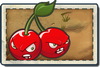 Cherry Bomb New Wild West Seed Packet.png