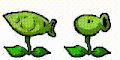 Early sprite animations for Peashooter