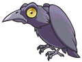 The gray raven
