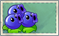Blueberries Seed Packet Full.png