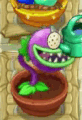 Chomper being watered in the Zen Garden (animated; click to watch)