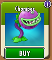Chomper in the new store