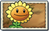 Sunflower New Wild West Seed Packet.png