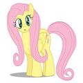 6th profile Pic (Fluttershy)