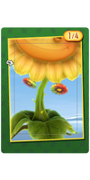Flower Child Organics Card.png