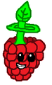 Warpberry
