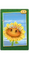 Flower Child Hat Card.png