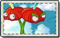 Anthurium Sky City Seed Packet.png