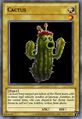 Cactus Hero Card