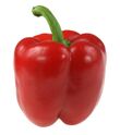 Red-bell-pepper01-lg.jpg