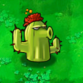 CactusBox.png