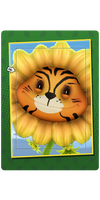 Catface Card.png