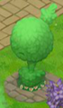 A Beet topiary