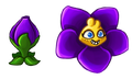 Concept art of Shrinking Violet[3]
