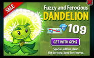 An advertisement of Dandelion on sale