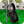 Necromancer ZombieOE.png