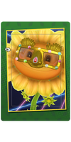 Royal Super Disguise Card.png