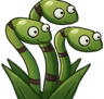 SnakeGrassCardImage.png