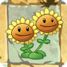 Twin Sunflower2.png