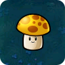阳光蘑菇