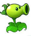 宝开网站中常用的豌豆射手形象，注意與連發豌豆相同的葉子