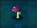 膽小蘑菇